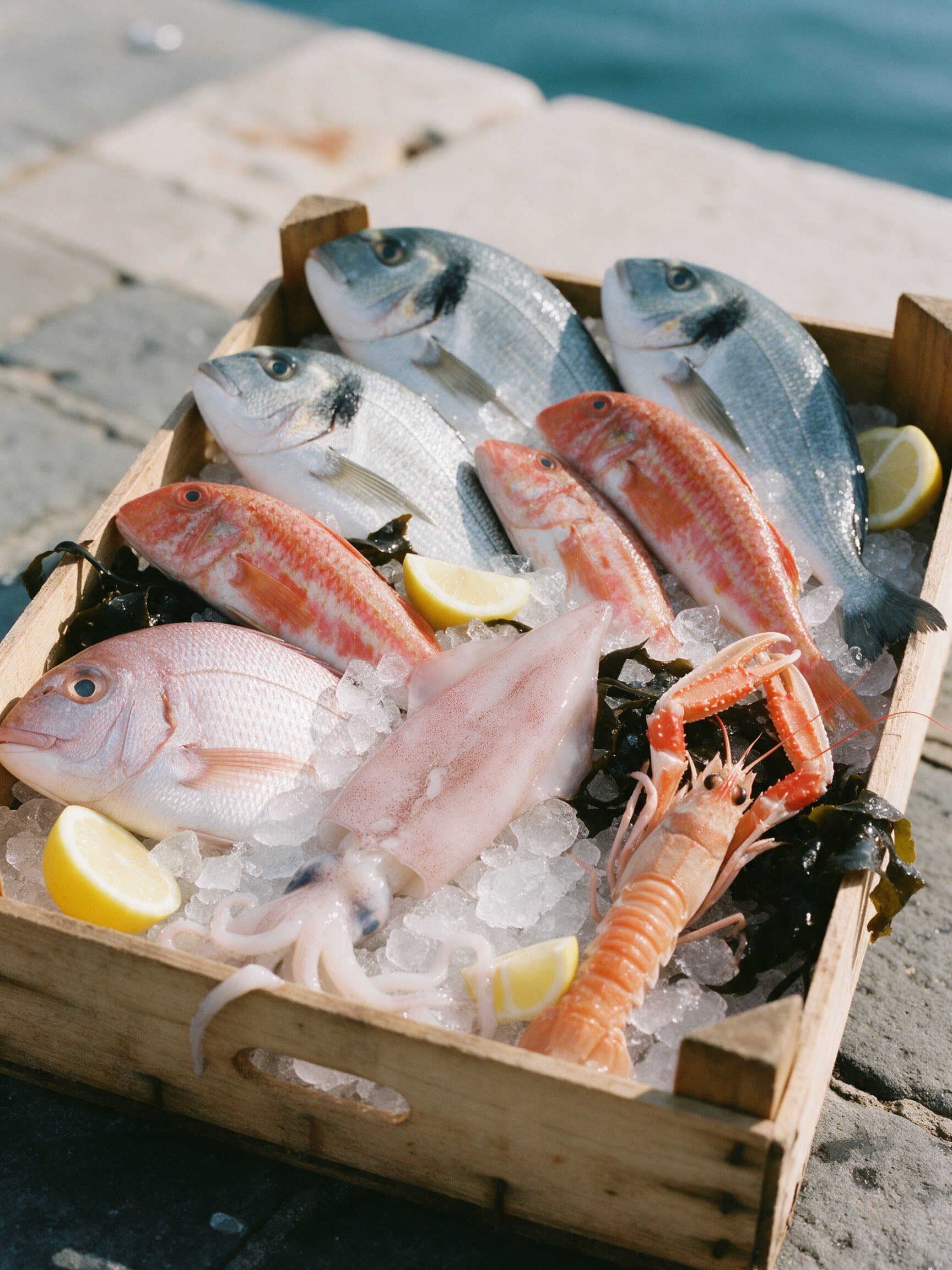 This morning's catch on ice: bream, red mullet, squid and langoustines